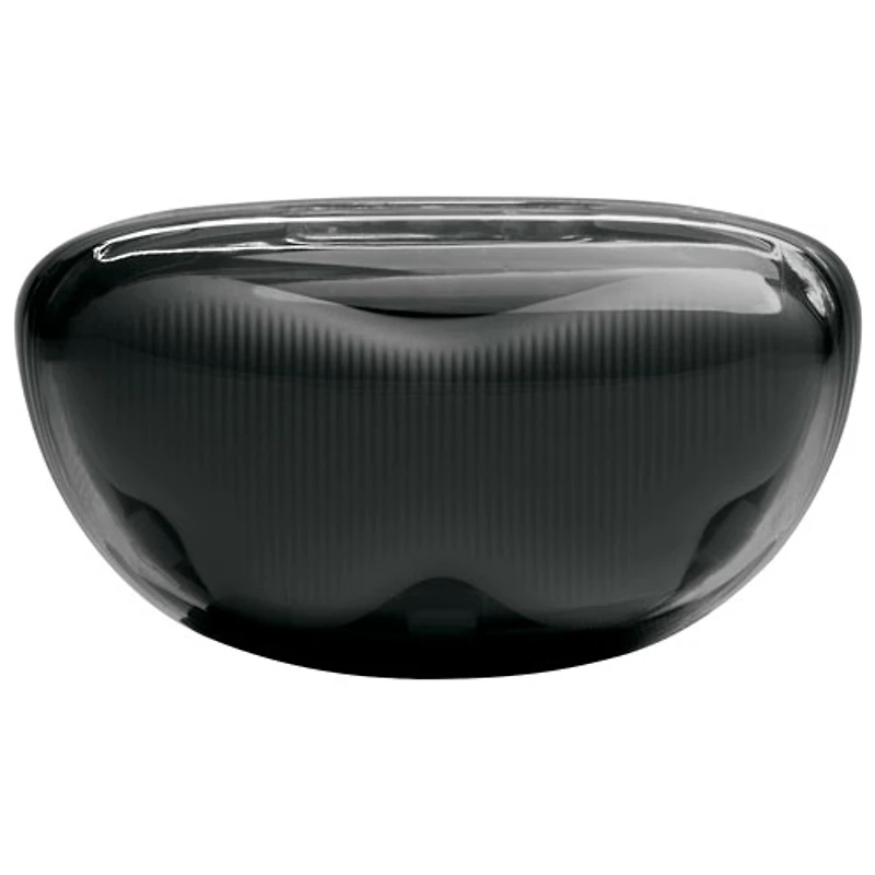Écouteurs boutons 100 % sans fil à suppression du bruit Tune Flex 2 édition Ghost de JBL - Noir fantôme