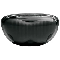 Écouteurs boutons 100 % sans fil à suppression du bruit Tune Flex 2 édition Ghost de JBL - Noir fantôme