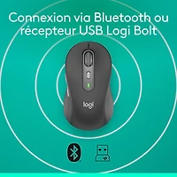 Logitech Signature Plus M750 L Bluetooth Optical Mouse - Graphite
