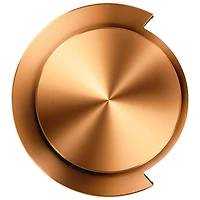 Caches OnTrac de Dyson - Cuivre