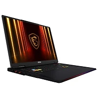 Portable de jeu de 18 po Raider 18 HX de MSI