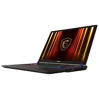 MSI Vector HX 16" Gaming Laptop - Cosmo Gray (Intel Core Ultra7-255HX/32GB RAM/1TB SSD/GeForce RTX 5070TI)