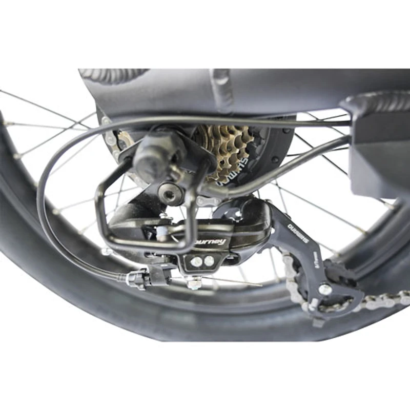 Ollie Longtail Cargo Step-Through Electric City Bike (500 W Motor / 96km Range / 32km/h Top Speed) - Black