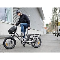 Vélo de ville électrique utilitaire à cadre bas Flip de Ollie (moteur 500 W/autonomie 96 km/vitesse maximale 32 km/h) - Argenté