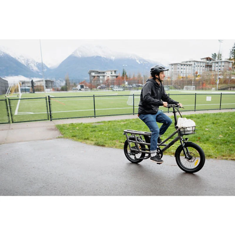 Vélo de ville électrique utilitaire à cadre bas Flip de Ollie (moteur 500 W/autonomie 96 km/vitesse maximale 32 km/h) - Argenté