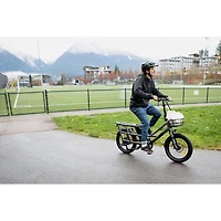 Vélo de ville électrique utilitaire à cadre bas Flip de Ollie (moteur 500 W/autonomie 96 km/vitesse maximale 32 km/h) - Argenté
