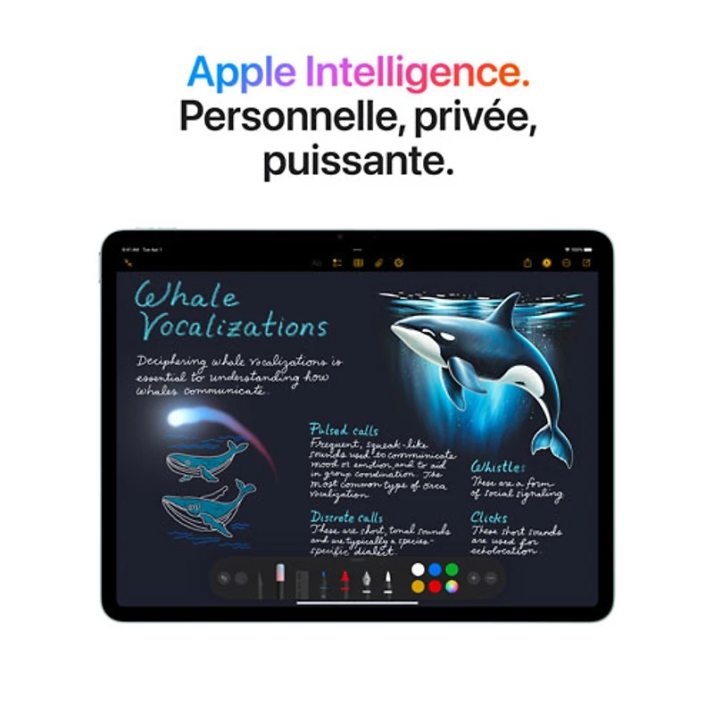 iPad Air M3 po Go avec Wi-Fi 6E et 5G d'Apple (7e génération