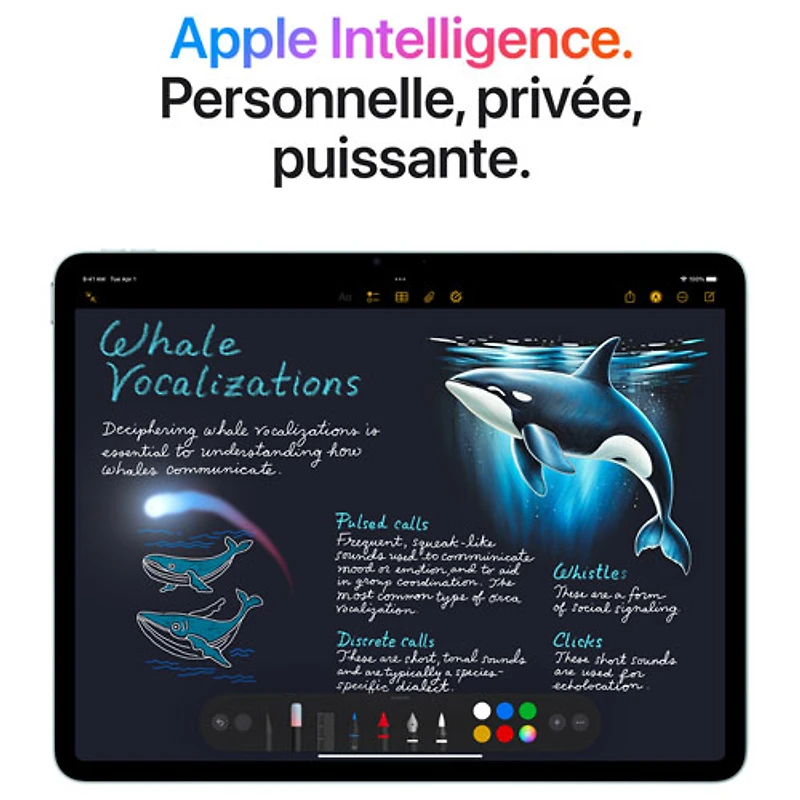 iPad Air M3 po Go avec Wi-Fi 6E et 5G d'Apple (7e génération
