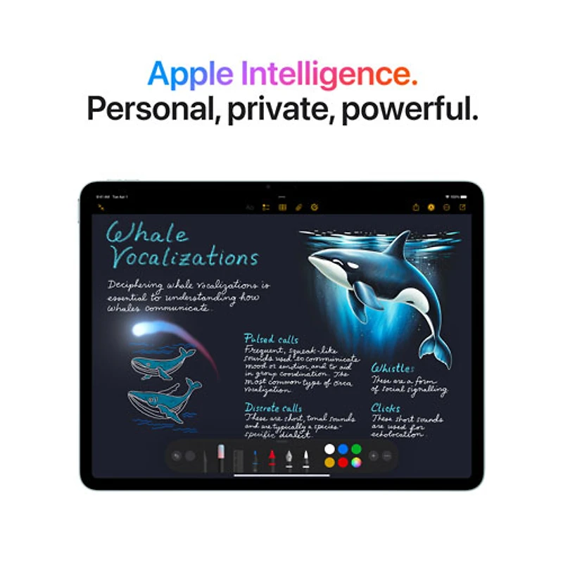 Apple iPad Air M3 11" 512GB with Wi-Fi 6E (7th Generation) - Blue