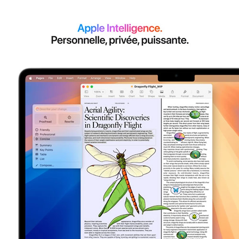 MacBook Air de 13,6 po avec Touch ID d'Apple (2025) - Argenté (M4 d'Apple/RAM 16 Go/SSD 256 Go) - Anglais
