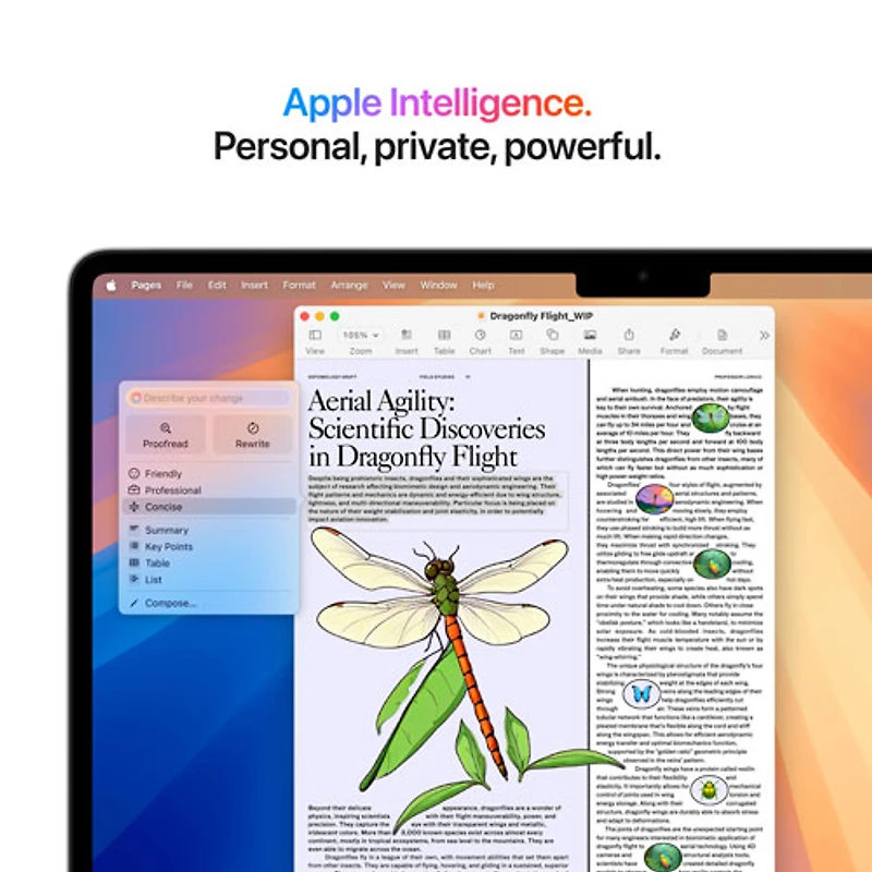 Apple MacBook Air 13.6" w/ Touch ID (2025) - Silver (Apple M4 / 24GB RAM / 512GB SSD) - French