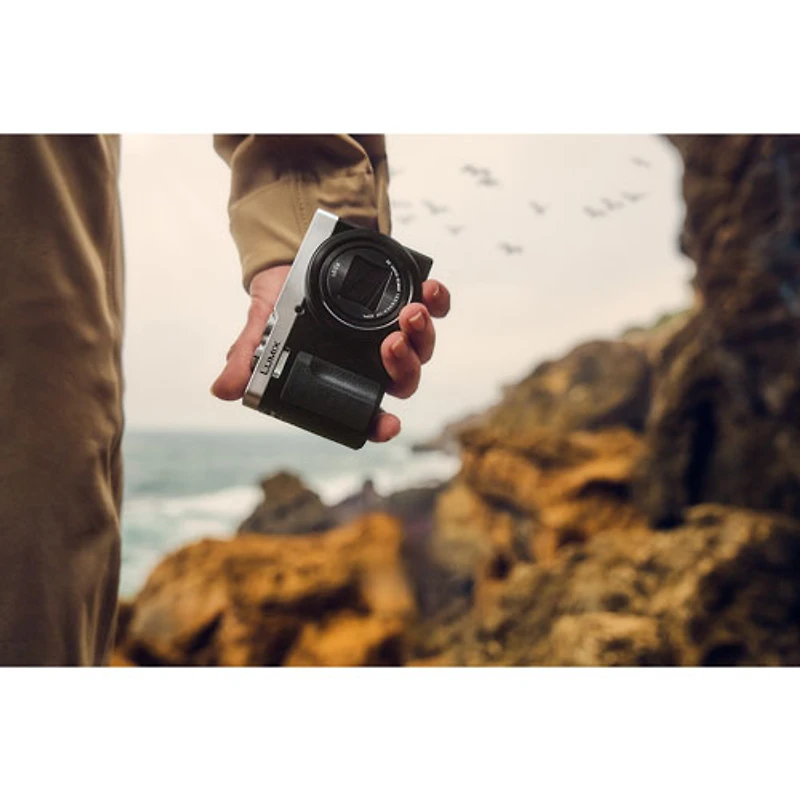 Panasonic LUMIX ZS99S Wi-Fi 20.3 MP 30x Optical Zoom 4K Video Digital Camera - Silver