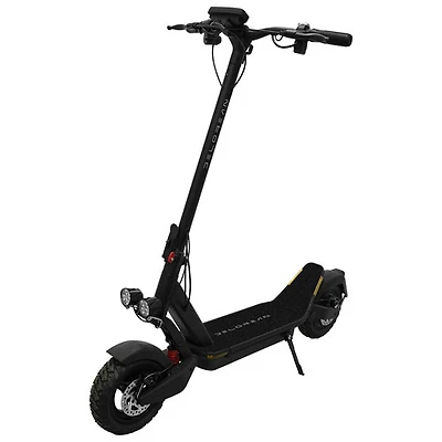 Trottinette électrique L10U de Delorean (moteur 500 W/autonomie 38 km/vitesse maximale 25 km/h) - Noir