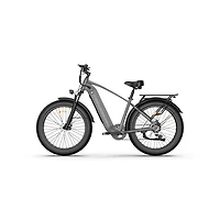 Vélo de ville électrique DM220 de Delorean (moteur 500 W/autonomie 55 km/vitesse maximale 32,2 km/h) - Noir