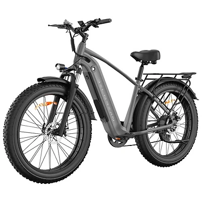 Vélo de ville électrique DM220 de Delorean (moteur 500 W/autonomie 55 km/vitesse maximale 32 km/h) - Gris foncé