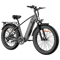 Vélo de ville électrique DM220 de Delorean (moteur 500 W/autonomie 55 km/vitesse maximale 32 km/h) - Gris foncé