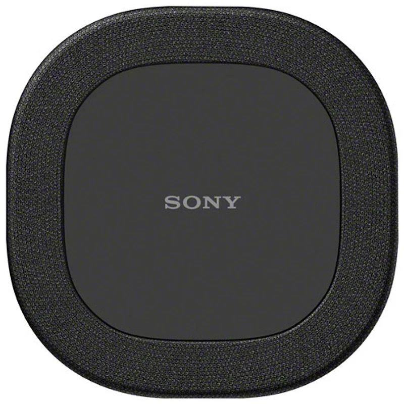 Haut-parleur arrière sans fil BRAVIA Theatre 8 SA-RS8 de Sony - Paire - Noir
