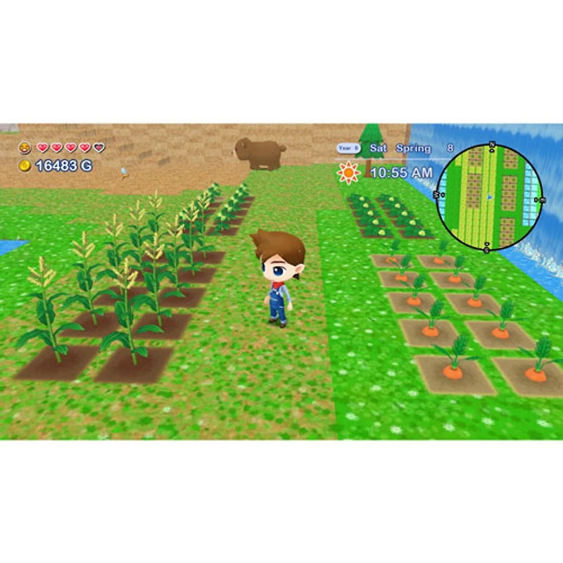 Harvest Moon: The Lost Valley et Harvest Moon: Skytree Village (Switch)