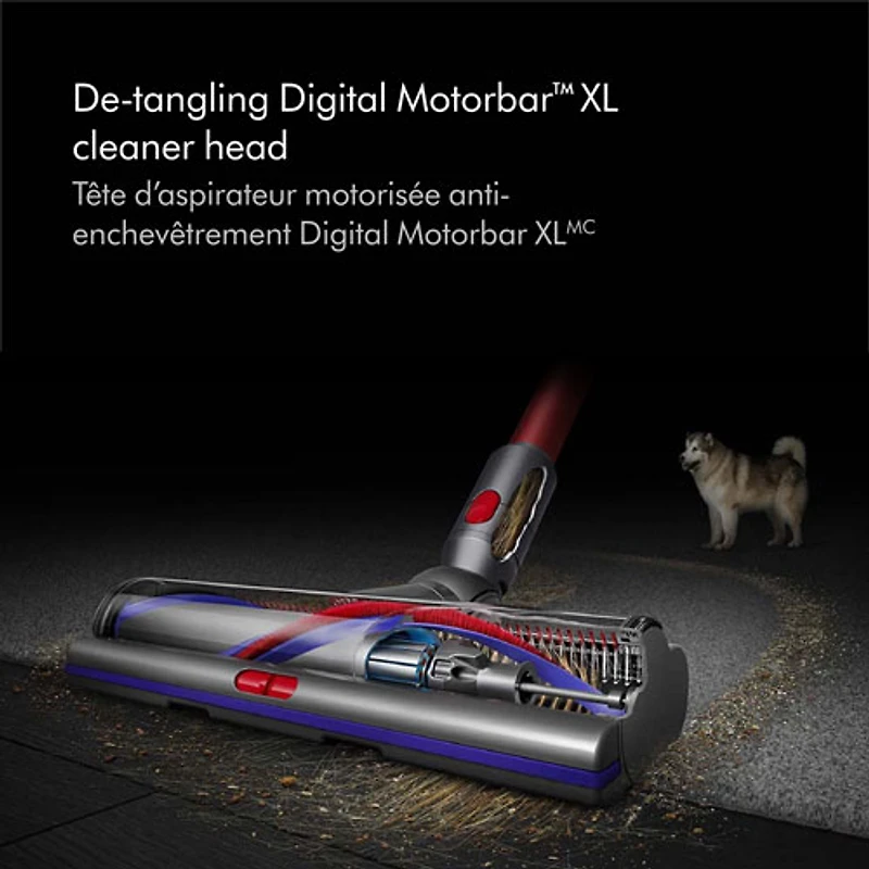 Aspirateur-balai sans fil Outsize Total Clean de Dyson avec batterie supplémentaire - Nickel/Rouge