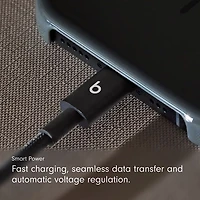 Câble tissé USB-C à USB-C de 1,5 m (4,9 pi) de Beats By Dr. Dre (MDGA4LL/A) - Noir éclair