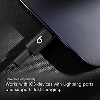 Beats By Dr. Dre 0.2m (0.65 ft.) USB-C to Lightning Woven Cable (MEQM4LL/A) - Bolt Black