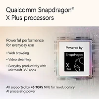 Portable Surface Pro Copilot+ PC (ACL) 12 po 256 Go de Microsoft avec Snapdragon X Plus/mémoire vive de 16 Go (2025) - Platine - Appareil seulement