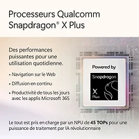 Portable Surface Pro Copilot+ PC (ACL) 12 po 256 Go de Microsoft avec Snapdragon X Plus/mémoire vive de 16 Go (2025) - Platine - Appareil seulement
