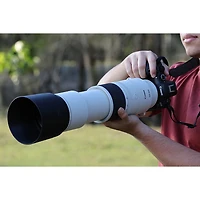 Téléobjectif RF 200-800mm f/6,3-9 IS STM de Canon