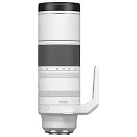 Téléobjectif RF 200-800mm f/6,3-9 IS STM de Canon