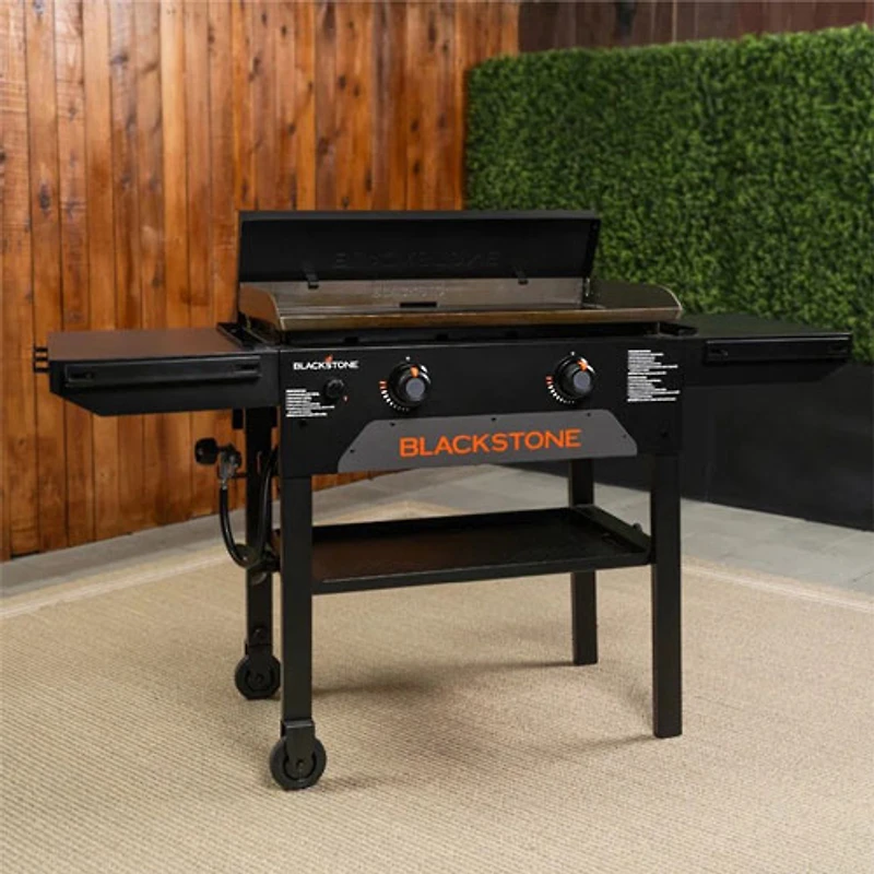 Plaque chauffante extérieure avec housse Omnivore de Blackstone