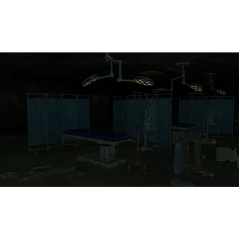 Corpse Party 2: Darkness Distortion Ayame's Mercy Edition (Switch) - Anglais