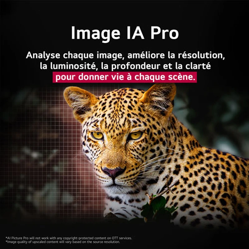 Téléviseur intelligent DELO HDR UHD 4K evo AI G5 de 55 po de LG (OLED55G5SUB) - 2025