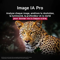 Téléviseur intelligent DELO HDR UHD 4K C5Y de 65 po de LG (OLED65C5YUA) - 2025 - Exclusivité Best Buy
