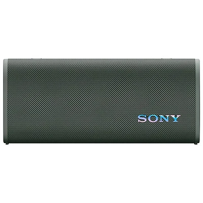 Haut-parleur sans fil Bluetooth étanche ULT FIELD 3 de Sony - Gris forêt