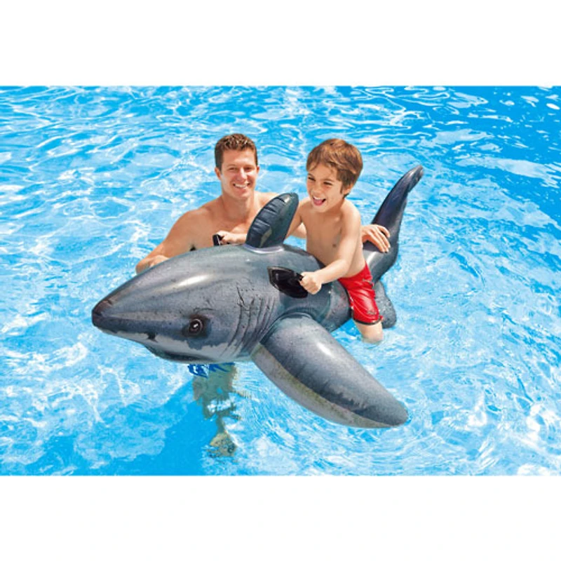 Grand requin blanc gonflable porteur d'Intex