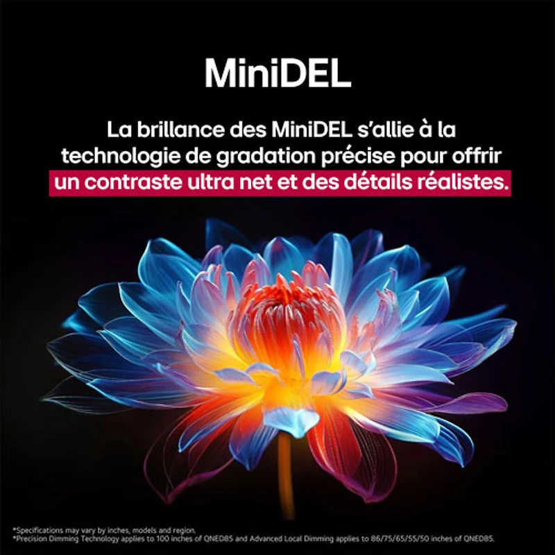 Téléviseur intelligent webOS mini-DEL HDR UHD 4K QNED evo AI QNED85 de 65 po de LG (65QNED85AUA) - 2025