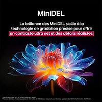 LG 75" QNED evo AI QNED85 4K UHD HDR Mini-LED Smart TV (75QNED85AYA) - 2025 - Only at Best Buy