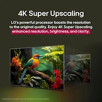 Téléviseur intelligent mini-DEL HDR UHD 4K QNED AI QNED80 de 55 po de LG (55QNED80AUA) - 2025