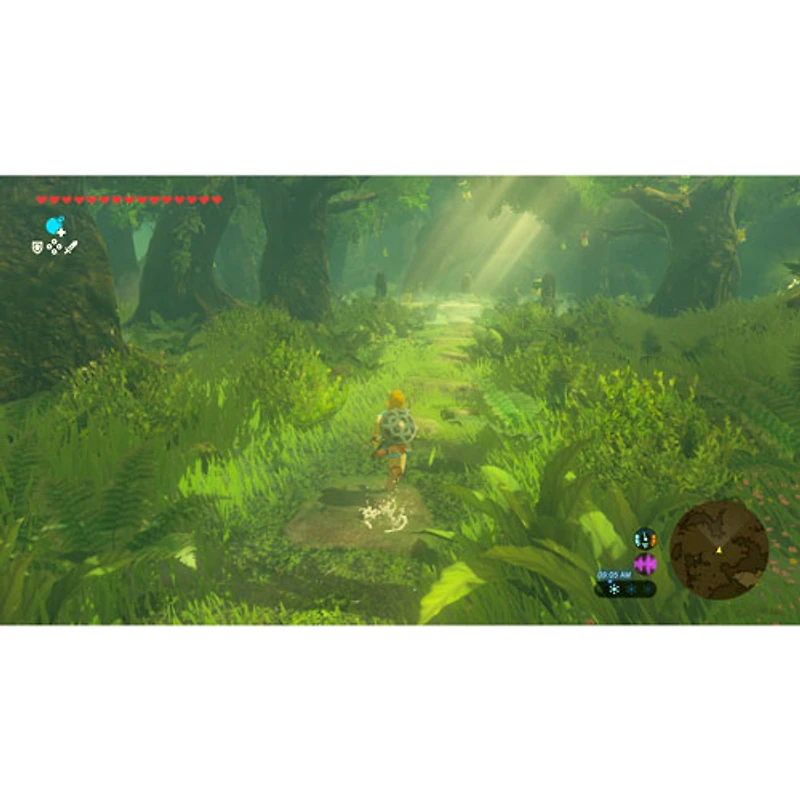 The Legend of Zelda: Breath of the Wild