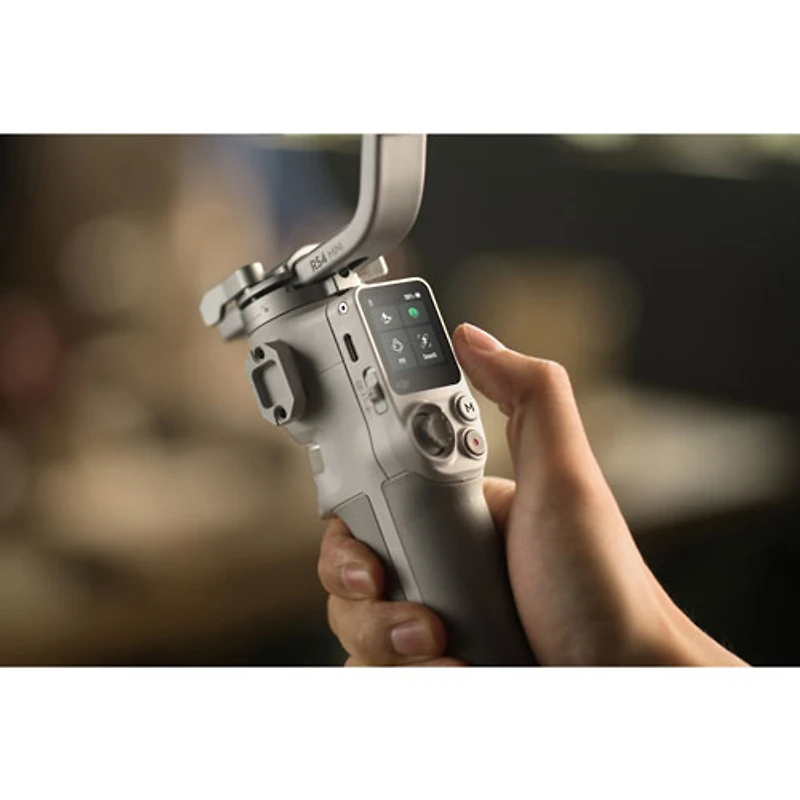 Stabilisateur à cardan RS 4 Mini de DJI - Gris