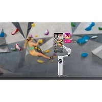 Ensemble avec stabilisateur à cardan Flow 2 Pro d'Insta360 (CINSABQB_FLOW226) - Gris