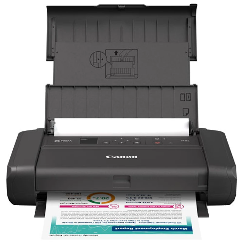 Canon PIXMA TR160 Wireless Portable Inkjet Printer