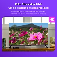 Lecteur multimédia de diffusion en continu Streaming Stick 2025 HD de Roku avec télécommande vocale