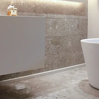 Détecteur de fuite d'eau intelligent Tapo T300 de TP-Link