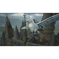 Hogwarts Legacy (Switch 2)