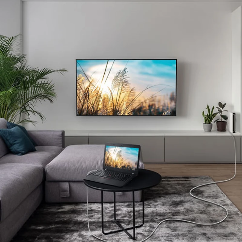 Câble Ethernet Cat 6A de 7,6 m (25 pi) d'Insignia - Gris - Exclusivité de Best Buy