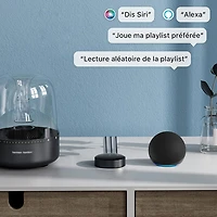 Mini diffuseur audio de WiiM