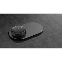 Mini diffuseur audio de WiiM