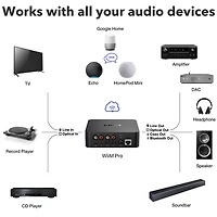 WiiM Pro Audio Streamer
