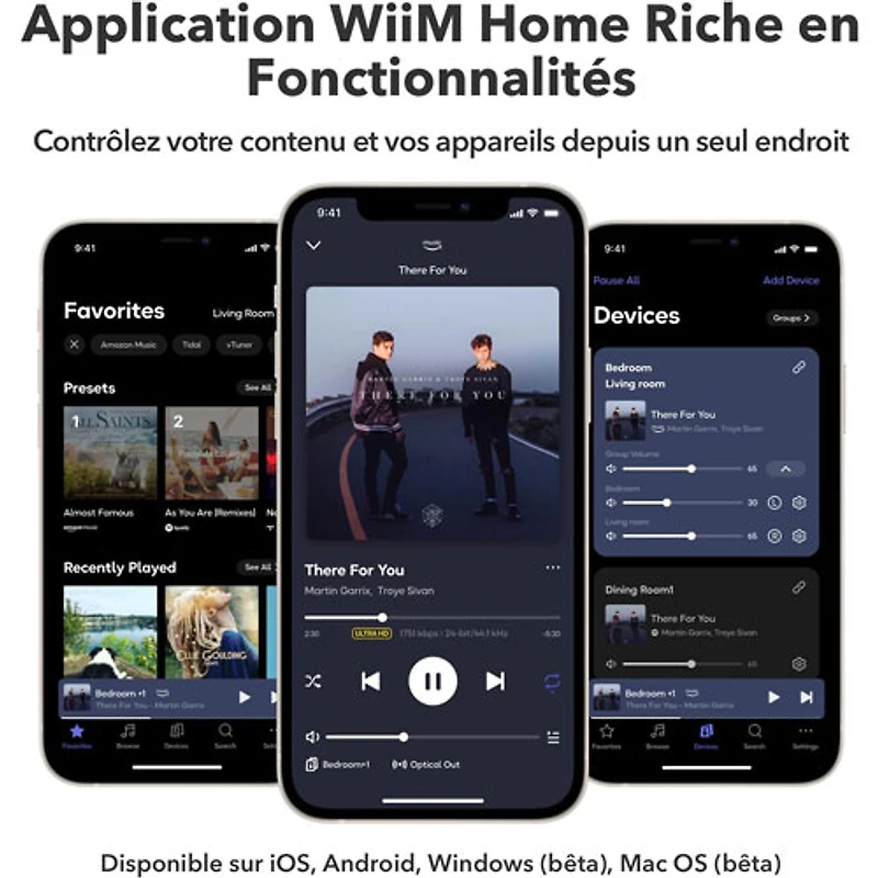 Wiim Pro Plus Audio Streamer
